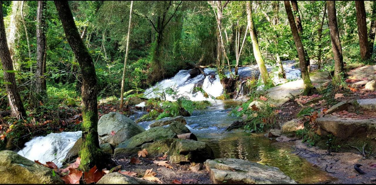 Camping Parc Gualba Gualba de Dalt Екстериор снимка