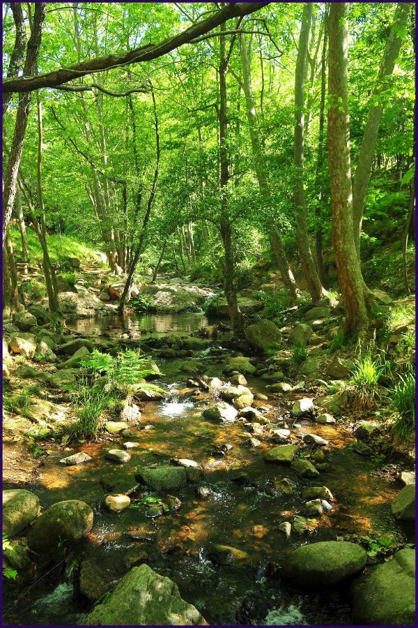 Camping Parc Gualba Gualba de Dalt Екстериор снимка